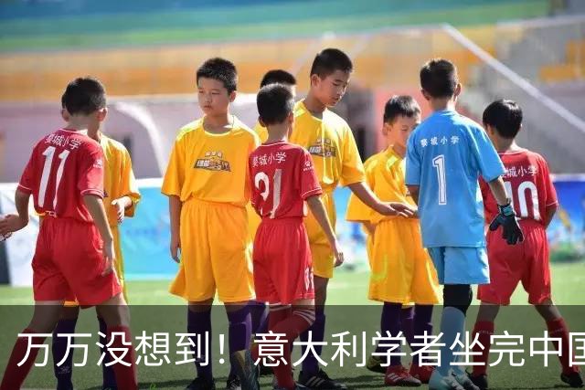 万万没想到！意大利学者坐完中国高铁直言：不逃票的老实人成傻子