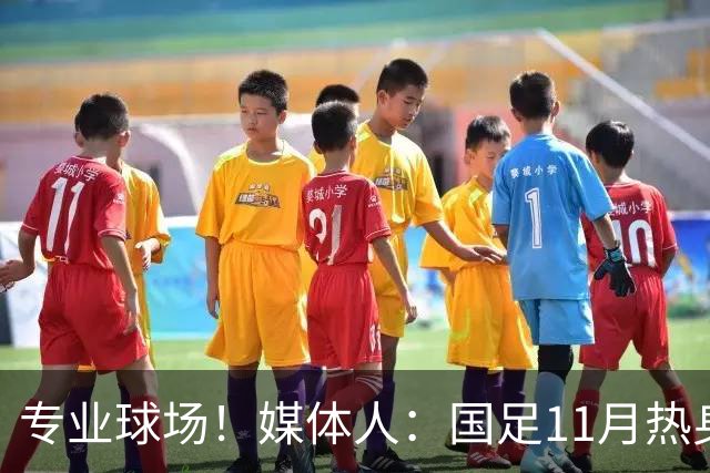 专业球场！媒体人：国足11月热身赛大概率移师肇庆进行