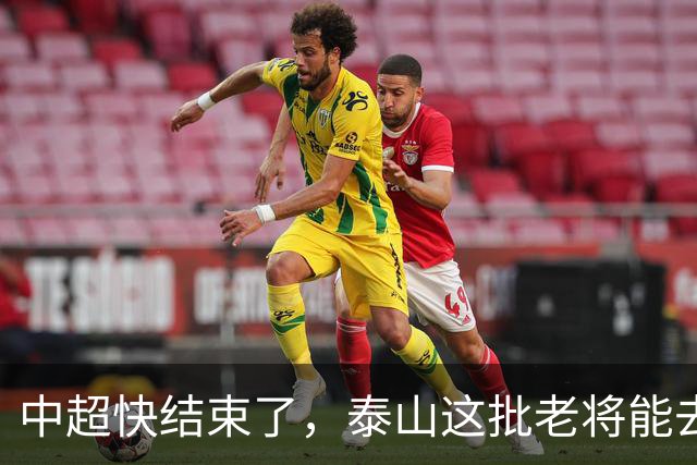 中超快结束了，泰山这批老将能去哪？高准翼没人要、陈蒲被冤枉、门将位置全是坑
