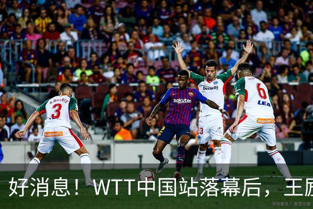 好消息！WTT中国站落幕后，王励勤释放关键信号，樊振东或能回归