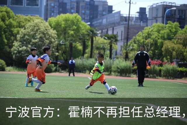 宁波官方：霍楠不再担任总经理，由董方亮代理总经理职务