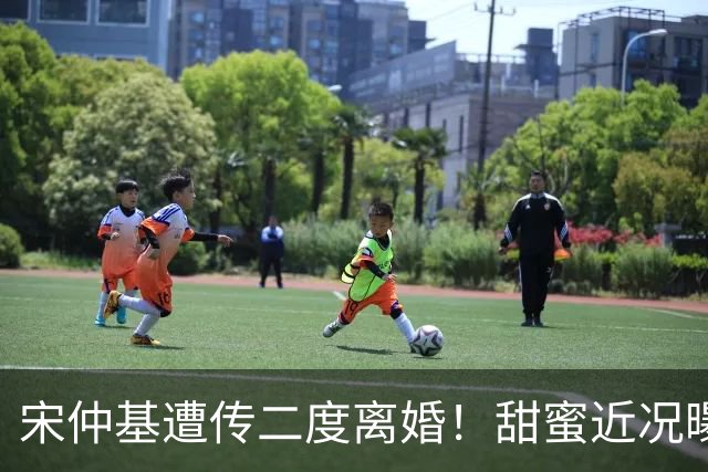 宋仲基遭传二度离婚！甜蜜近况曝光 「夫妻义大利榨油」两娃现身