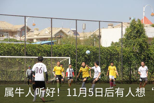 属牛人听好！11月5日后有人想“抽走你的扁担”，提前留个心眼