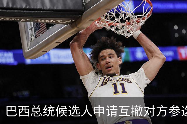 巴西总统候选人申请互撤对方参选资格
