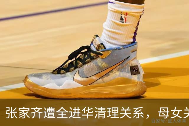 张家齐遭全进华清理关系，母女关系迎来反转，专业人士也束手无策