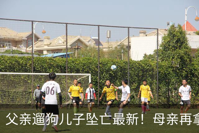 父亲遛狗儿子坠亡最新！母亲再拿铁证，窗户被动手脚，爷爷更可疑