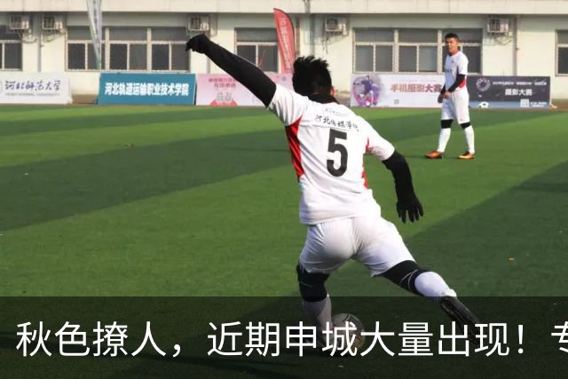 秋色撩人，近期申城大量出现！专家提醒：别摘、别捡、别吃