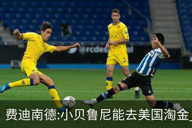 费迪南德:小贝鲁尼能去美国淘金 C罗也可以去沙特