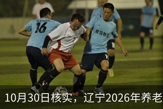 10月30日核实，辽宁2026年养老金调整通知，今天正式已发布了吗？